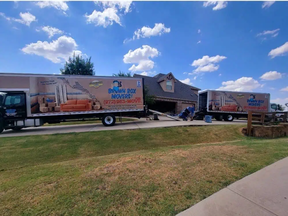 Two Brown Box Movers trucks parked in a lot