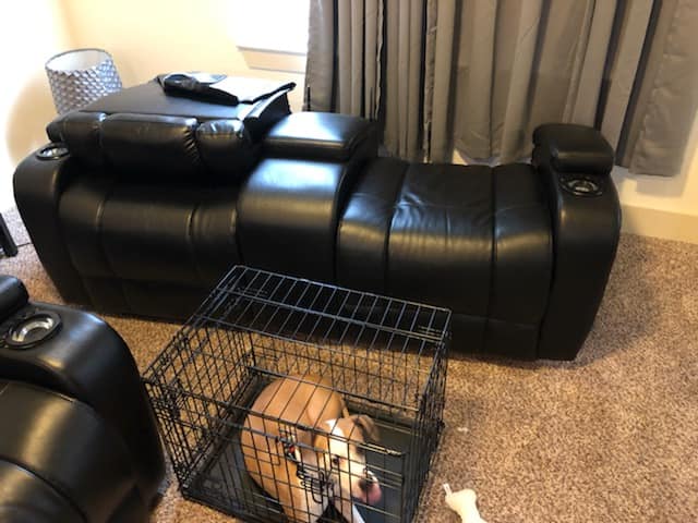 Dog resting in its crate next to a leather recliner